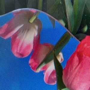 Meet your Posher, Manuelfl